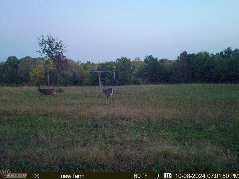 blackgate-media_182901258457207