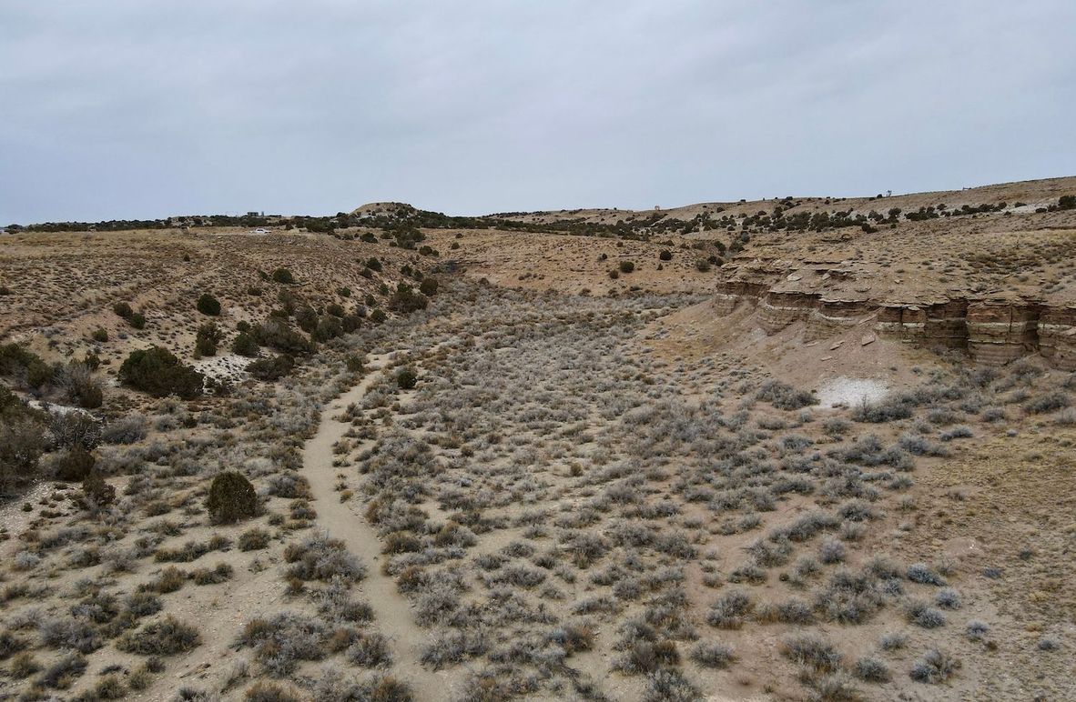 dji_fly_20240205_113758_285_1707158624671_photo