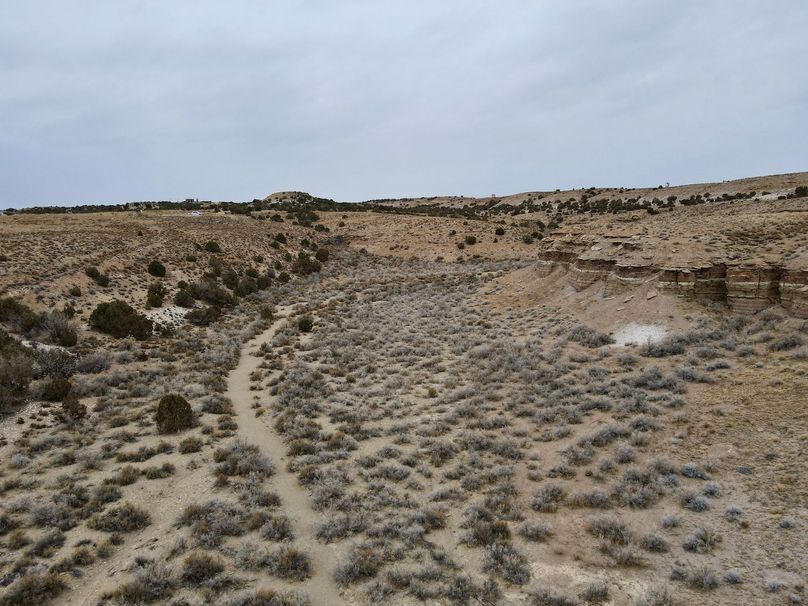 dji_fly_20240205_113758_285_1707158624671_photo