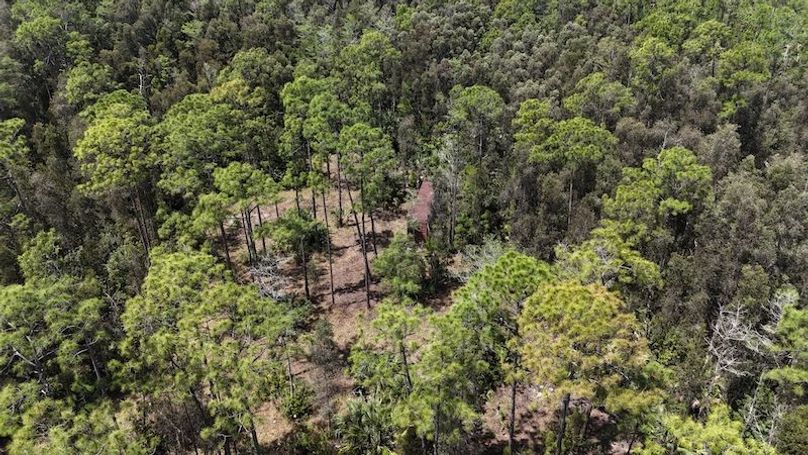 DJI_20260403130051_0471_D