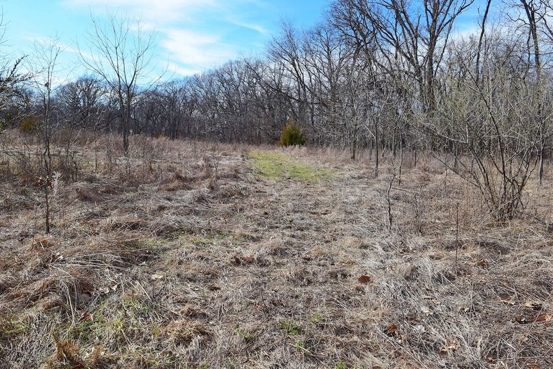 DSC_0316_inPixio (2)