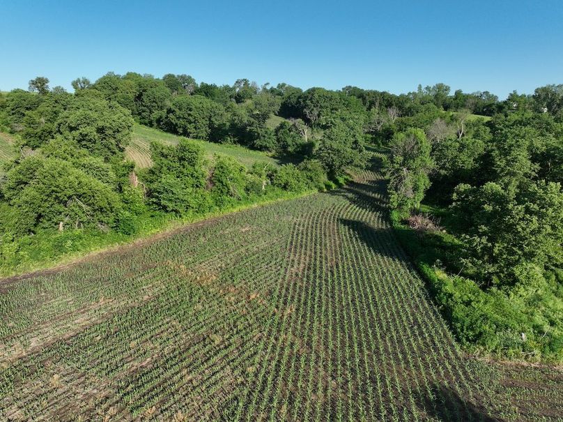 dji_fly_20260601_080026_521_1780319402195_photo