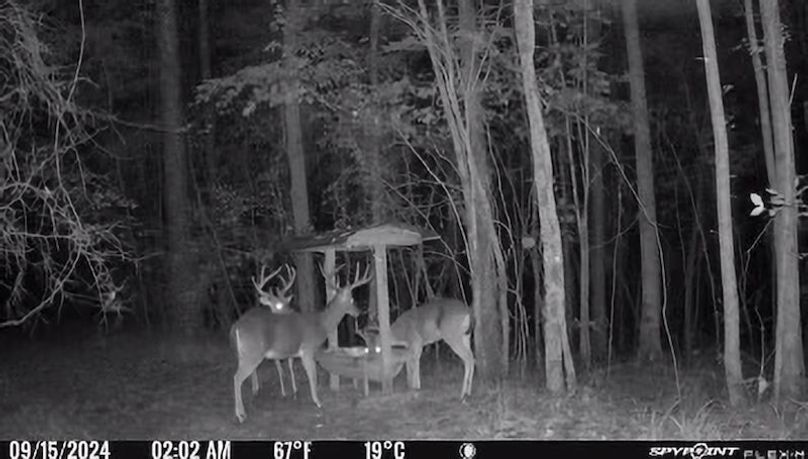 Tallahatchie 847 Trail Cam (JPG)-03