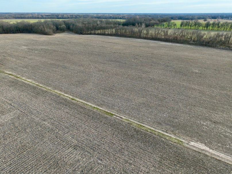 Copy of DJI_0888 Large