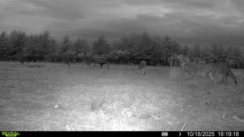 016579007781193-100-3-10182025195343-HD-SYFW00865