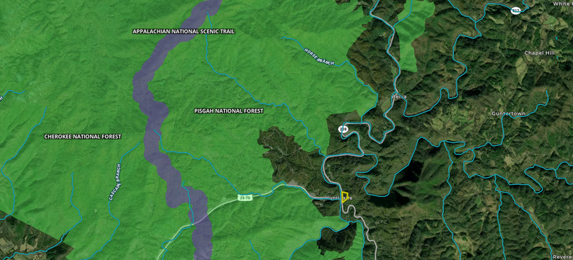Madison Co 5.23 Pallardy2