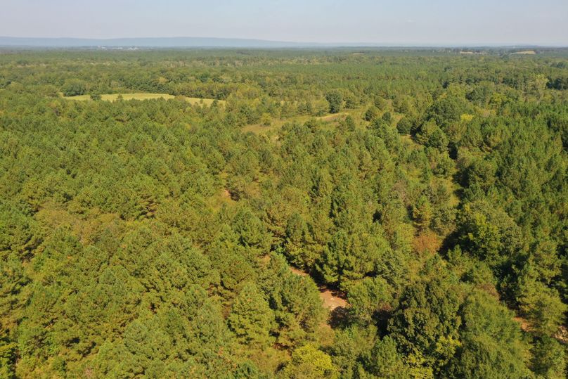 DJI_0857