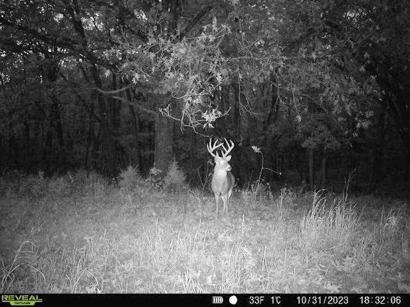 d7a3f015-3985-447b-93c3-3b55a2d81a43