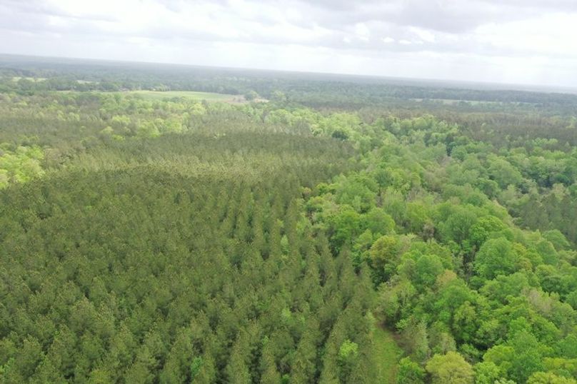 DJI_0038