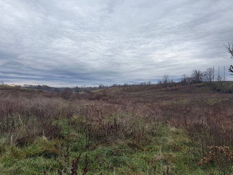011 ground level view of the open ground from the middle section of the property looking to the north