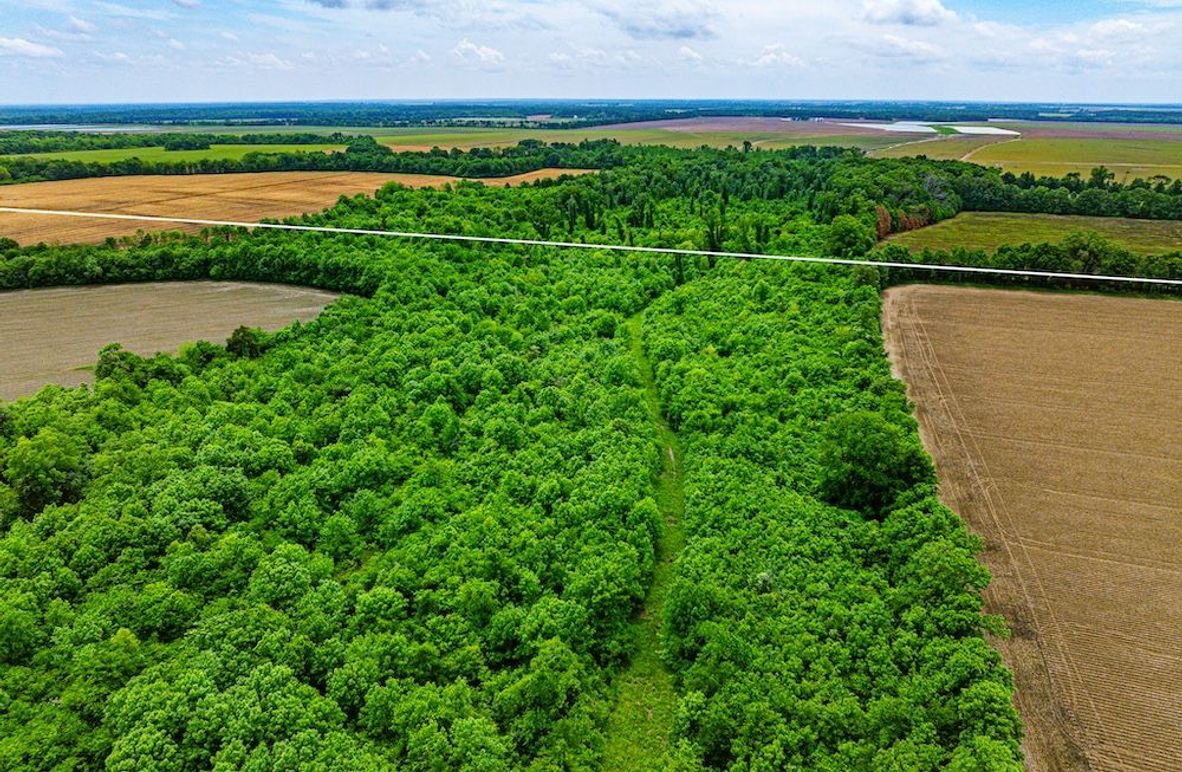 Copy of Noxubee 112.1 +- Tract 1-04