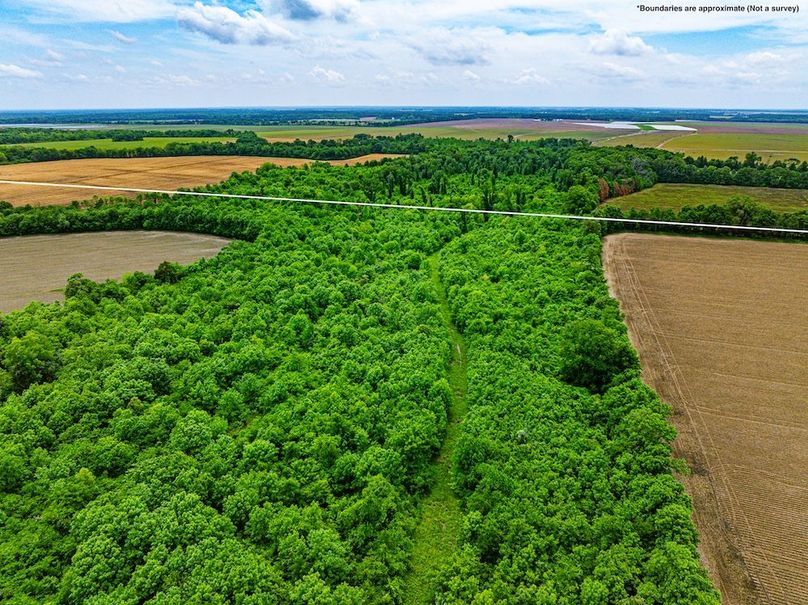 Copy of Noxubee 112.1 +- Tract 1-04