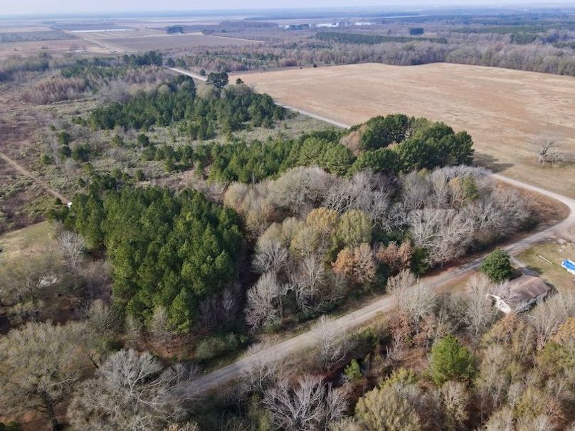 dji_fly_20251205_124736_917_1765034356334_photo