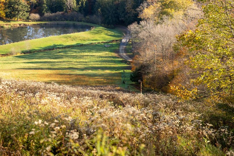 Elk PA 7000 Feature_Pro Photo-94