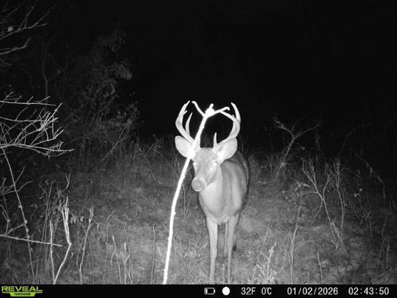 860516068095052-0-3-01022026024350-V-W1001035