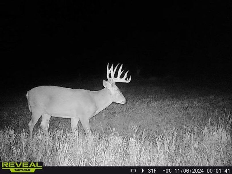 861641042572304-10-5-11062024000140-W1004911