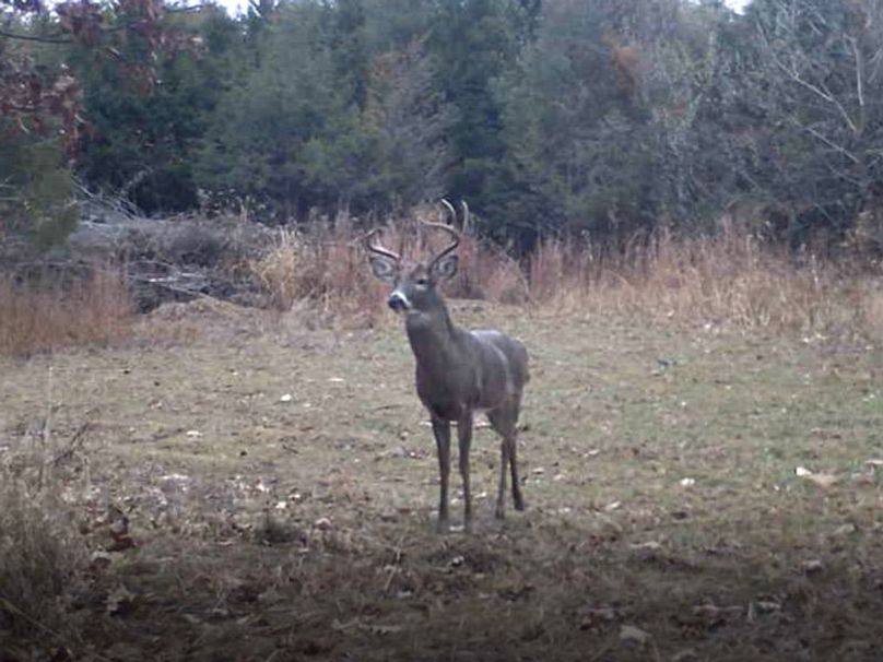 Screenshot 2024-03-02 132656