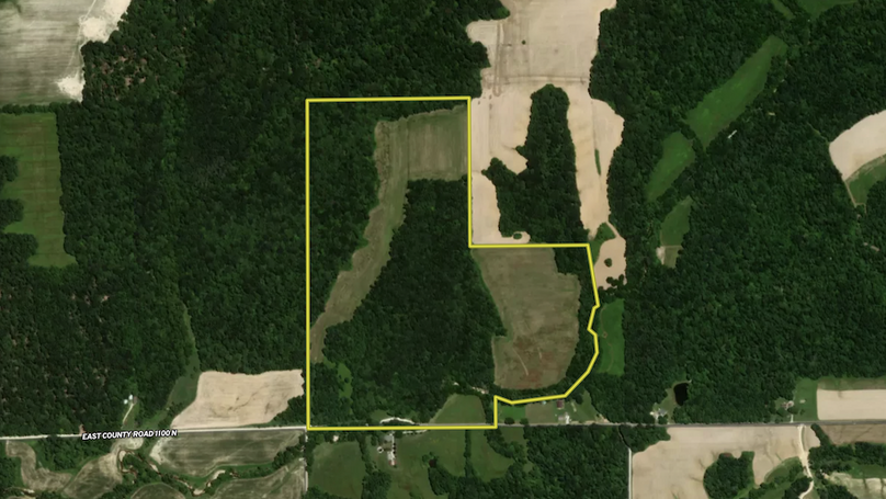 Screenshot 2025-08-07 082749