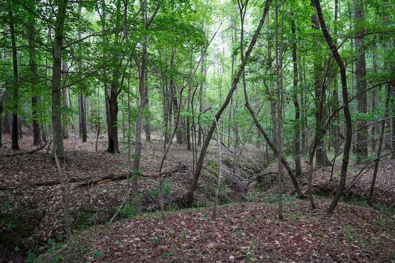 Pic-46