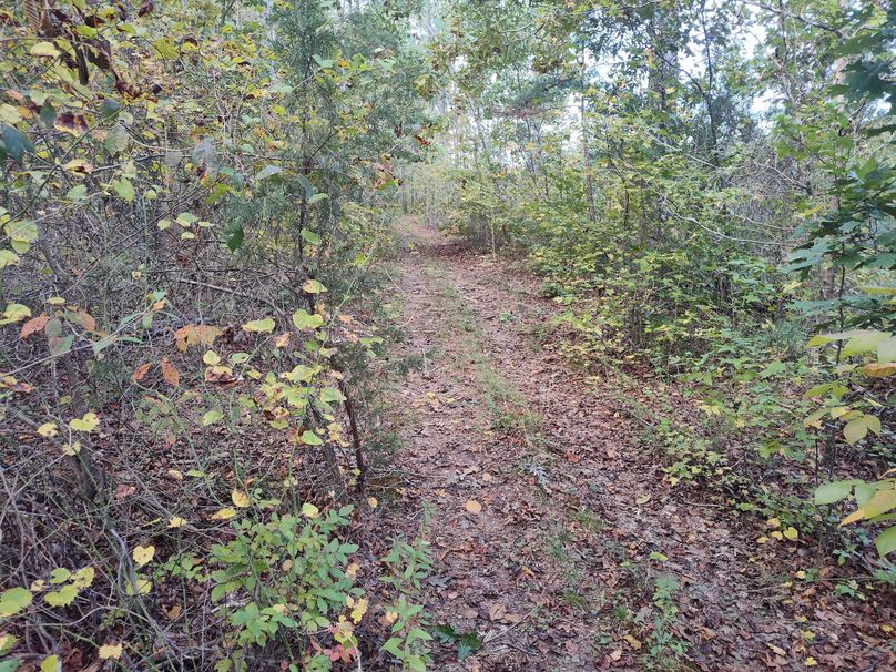 IMG_20231017_104927533