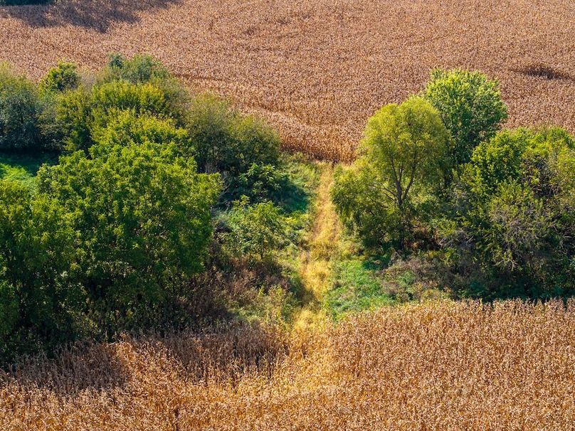 Copy of Whiteside 181_28