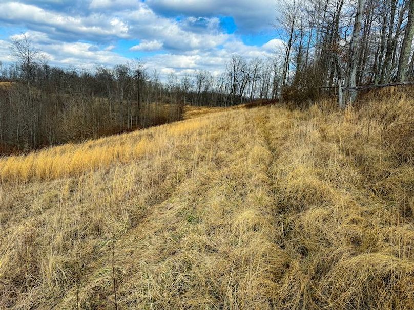 Doddridge, WV 79.08 AC Adams-50