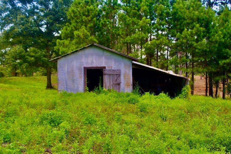 56F3CC3E-1A64-40C5-8FE0-D7D2BEB493EC_1_105_c