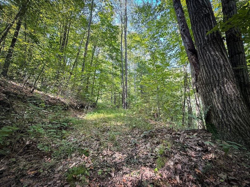 Tioga NY 86.705 Capwell Photos 19