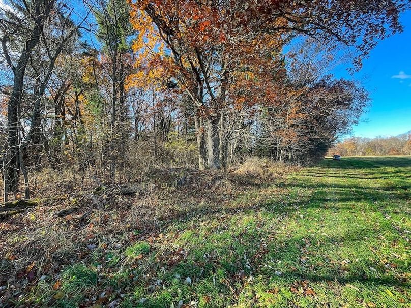 Portage 150.81 JMJK Prop-20