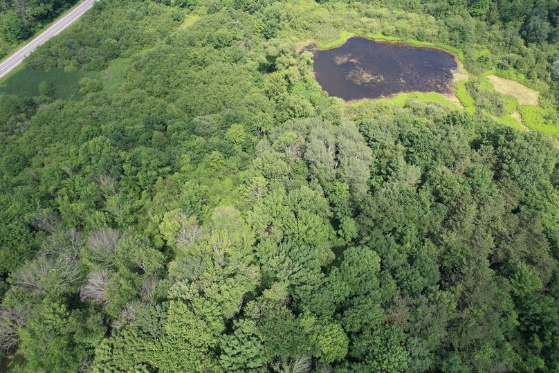 Oswego_13.95_Moore_Bush_Photos_7