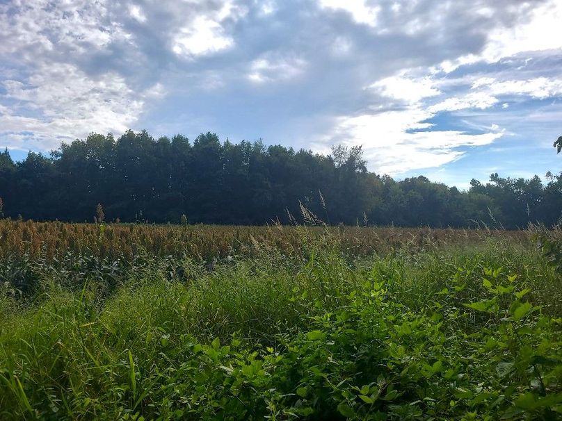 31.40ac_QAnnes_PIC_018