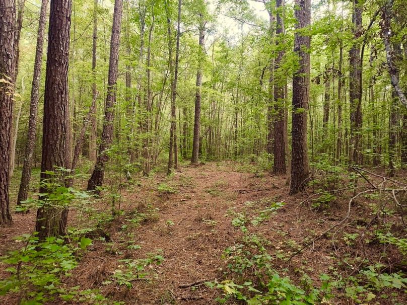 IMG_20250914_174410710