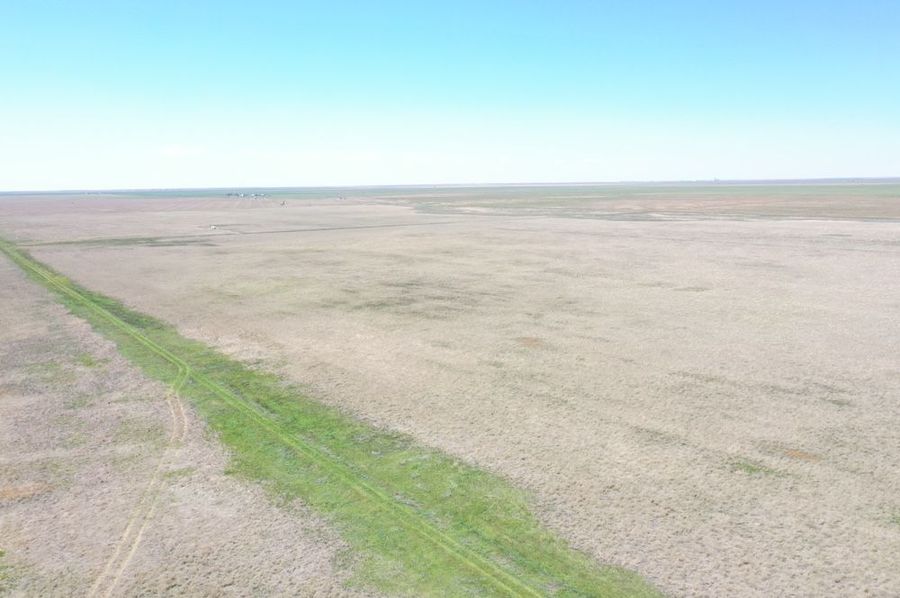 DJI_0652