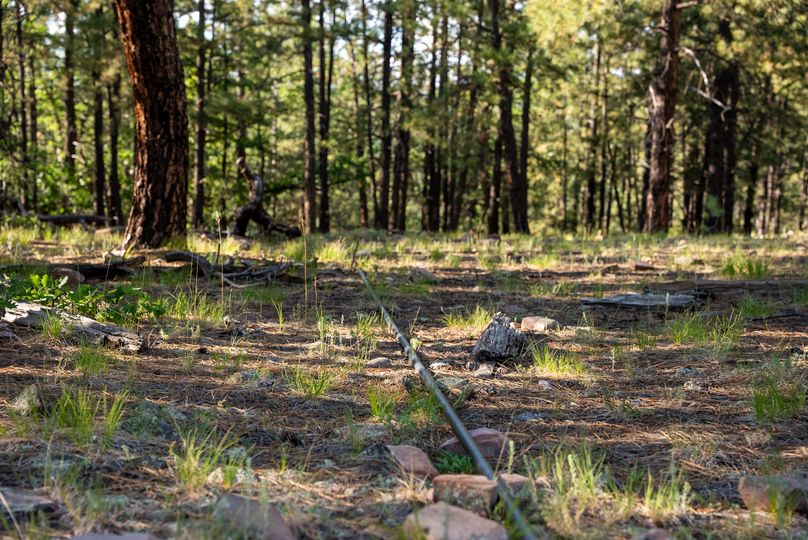 Cibola NM 13,053--82