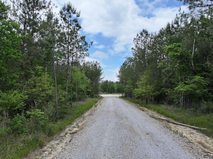 dji_fly_20260417_100224_0104_1776450673728_photo