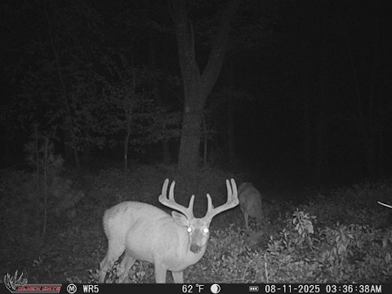 AECCC774-80BB-491F-AE3D-CBB7FA8F68AC_4_5005_c