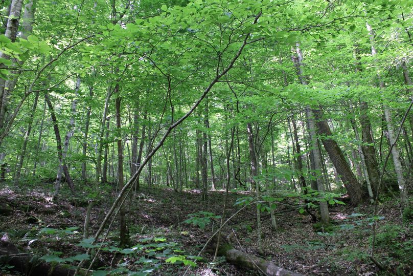 016 spring is in the air!