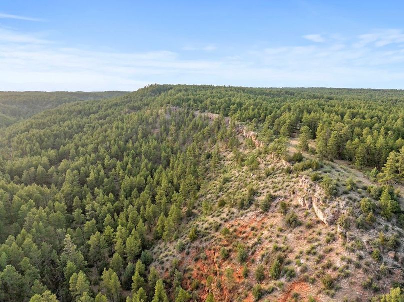 24-DJI_20250507185328_0777_D