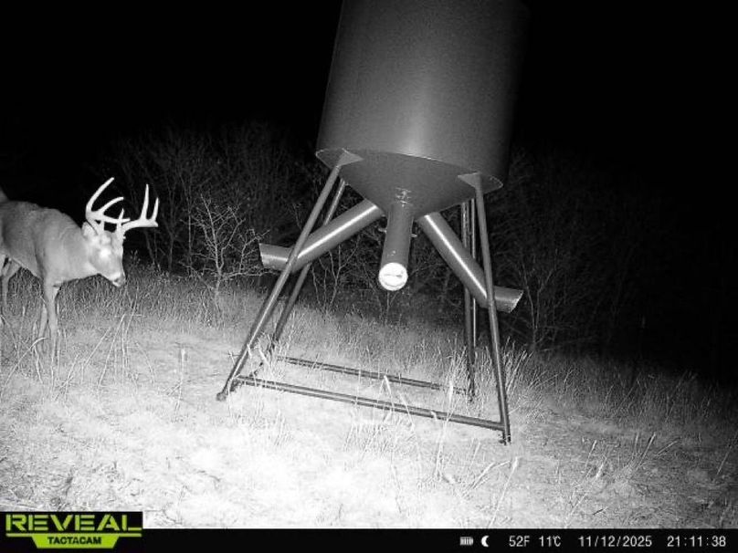 865977050266538-100-4-11122025211138-W1002291