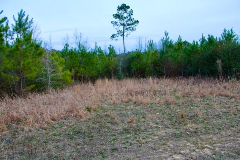 84EA867B-32A9-4388-B37F-E46F3BDAA827_1_105_c