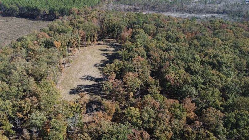 jeff 5020251111_0282