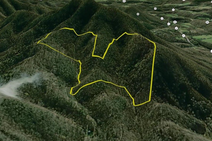 36