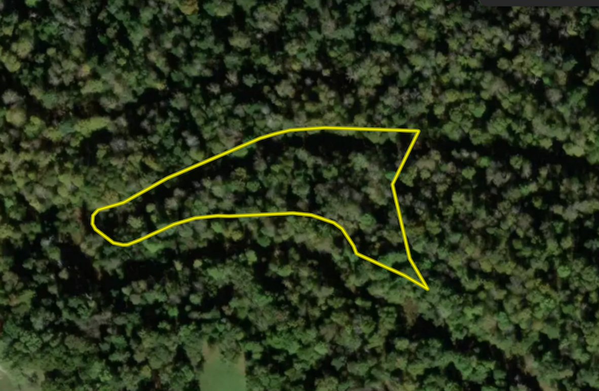 Screenshot 2025-11-14 at 3.16.55 PM