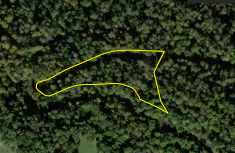 Screenshot 2025-11-14 at 3.16.55 PM