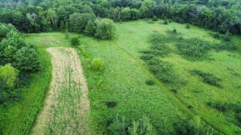 dji_fly_20240715_181814_673_1721085502469_photo_optimized