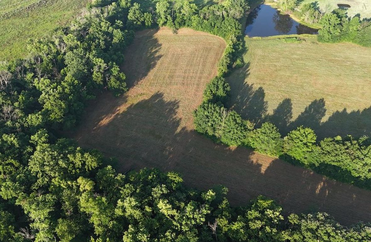 dji_fly_20250714_075516_0053_1752497638012_photo