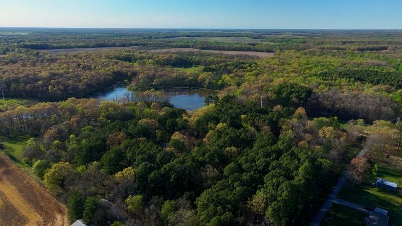 WILLIAMSON, IL 65.00_10_47_03.Still040
