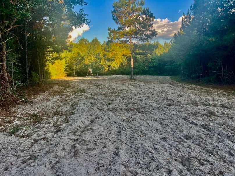 EE3D1817-0FF1-4A45-ADED-F6F6A50ECB45_1_201_a