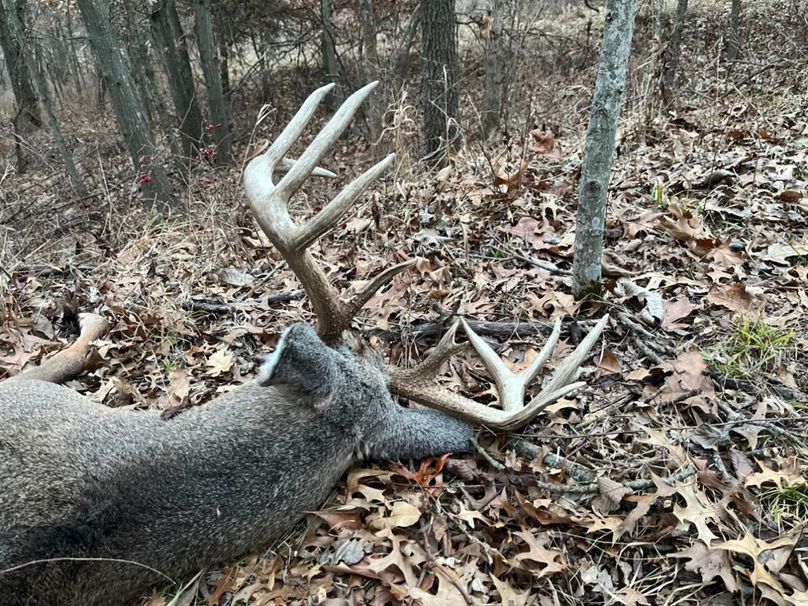 72575576767__18A5314C-28D0-46B0-9A56-11BFC7C20AD3