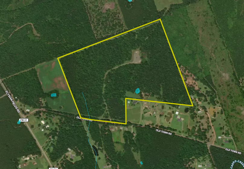 100.59 Magouirk zoom